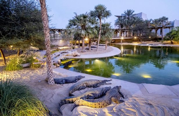 Dubai Crocodile Park Admission Ticket