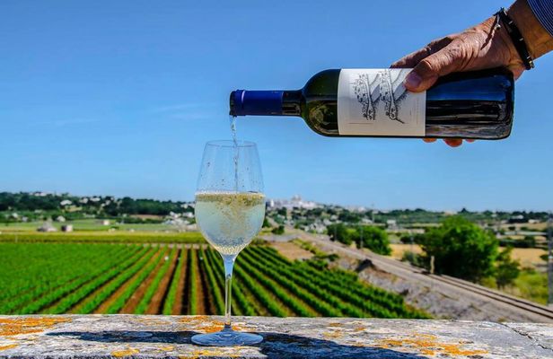 Wine Tasting Experience in Valle d'Itria