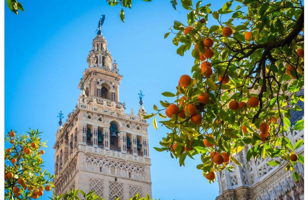 Seville Cathedral skip-the-line tickets and guided tour