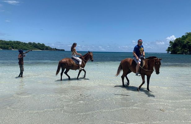Horse Back Riding and Boston Jerk Centre Tour in Portland