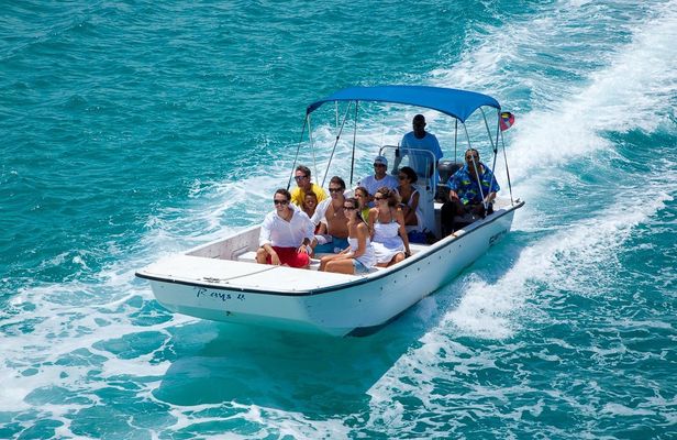 Stingray City Antigua Entrance Ticket