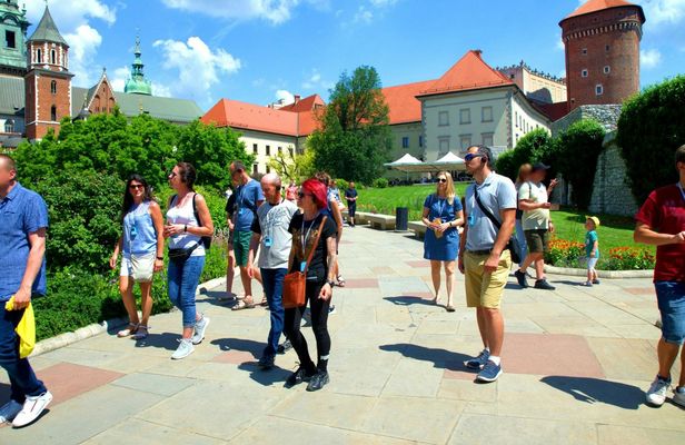 English Guided Tour to Wawel Castle Highlights