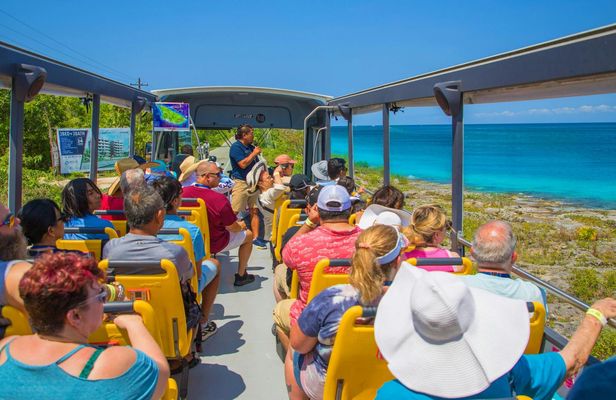 Open Top City Tour with Beach Break in Cozumel