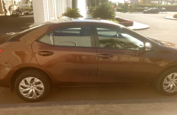 Private Transfer with Assistance from - to Sphinx Airport within Cairo