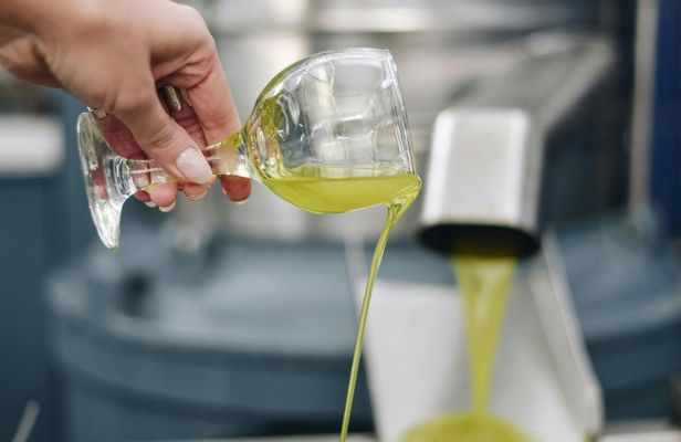 Visit a Family-Run Olive Mill with Food Tasting in Heraklion