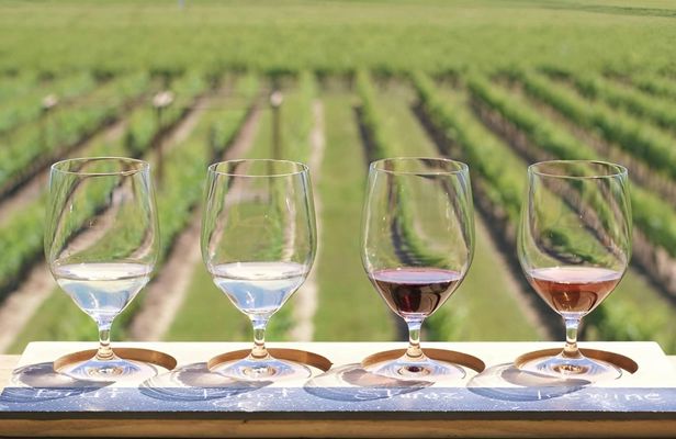 Chocolate, Wine and Niagara-on-the-Lake Tour from Toronto