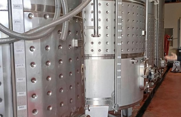 Half-day winery tour with wine tasting and tapas