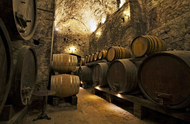 Montepulciano and Montalcino guided tour with wine tasting