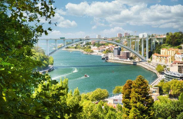 Tour of the two banks of the Douro river in Porto