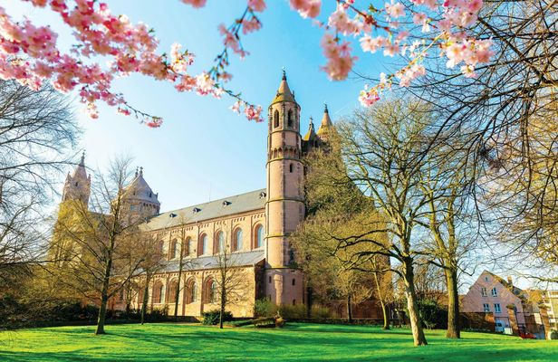 River Cruise Collection: Worms Cathedral and Luther Monument
