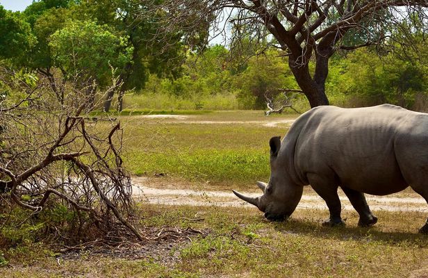 Fathala Wildlife Reserve  full-day tour