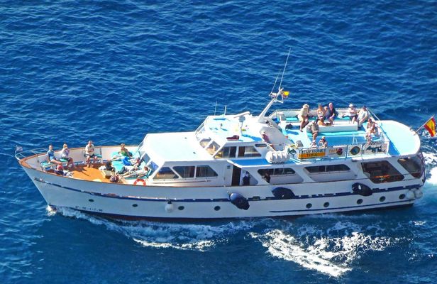 Whale-watching excursion in La Gomera with vintage boat tour