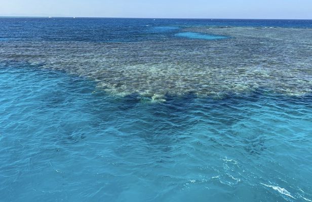 Snorkeling cruise with lunch and seascope submarine in Sharm el-Sheikh