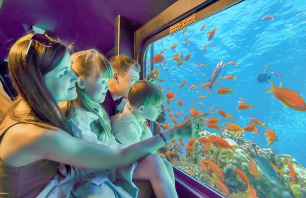 Sea scope submarine in Hurghada city and resorts