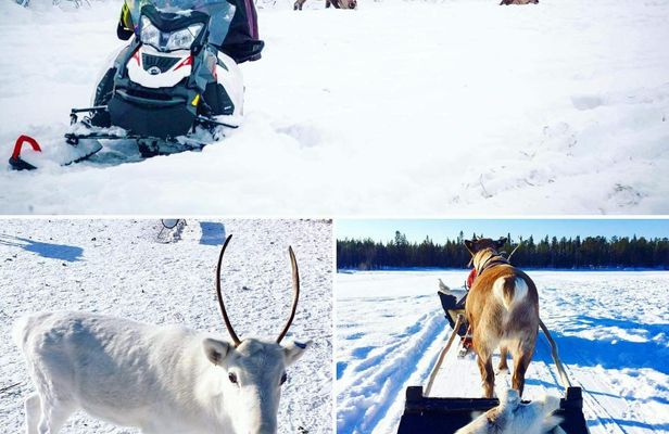 Traditional snowmobile safari in Levi to reindeer farm