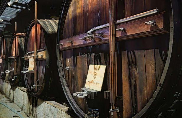 Small group tour in Douro Valley from Porto