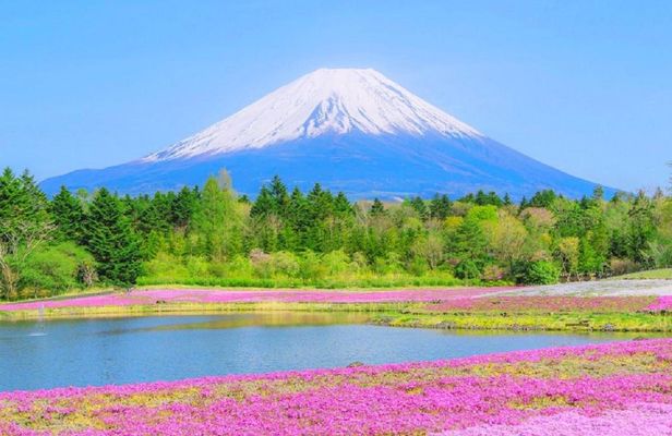 1-day tour to Mount Fuji, Oshino Hakkai with outlets or hot springs