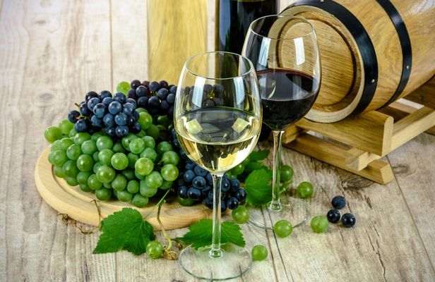 Valpolicella Wine and Food Tour With Transfer From Garda Lake