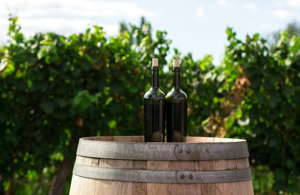 Full-Day Pompeii Ruins and Vesuvius Winery Guided Tour from Sorrento