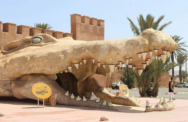 Visit to Crocoparc from Agadir or Taghazout with Entrance Tickets