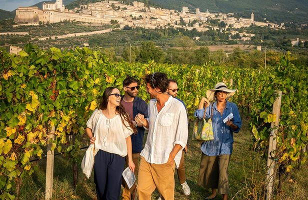 Winery of Assisi guided tasting with 5 wines and lunch