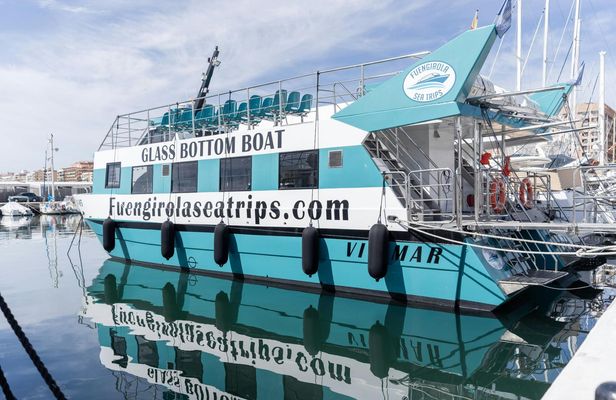 Dolphin watching catamaran cruise along Costa del Sol
