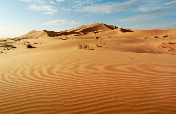 Half-Day Guided Tour to Sahara Dunes from Agadir
