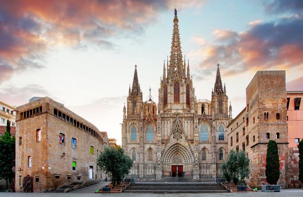 Barcelona Cathedral Skip-The-Line Tour, Terrace and Virtual Experience