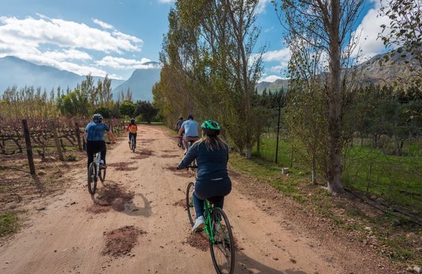 Franschhoek Winelands 7 hour Private E-Bike Tour with Lunch
