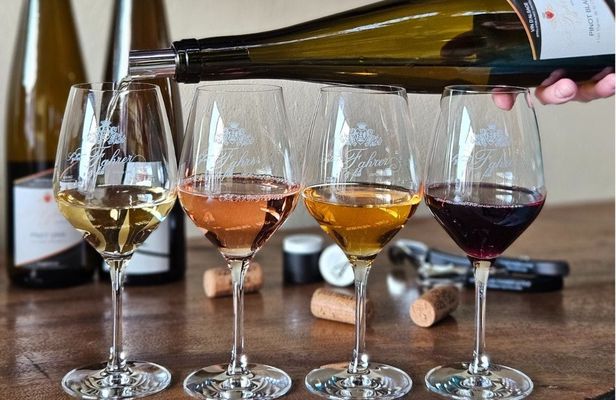 Domaine Fahrer et Fils guided tour with wine tasting