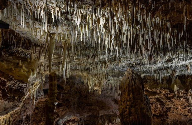 Natural Bridge Caverns Hidden Wonders Tour