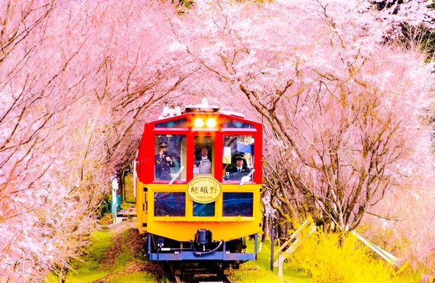 Kyoto Sanzen-in, Arashiyama and Bamboo Grove Full Day Tour