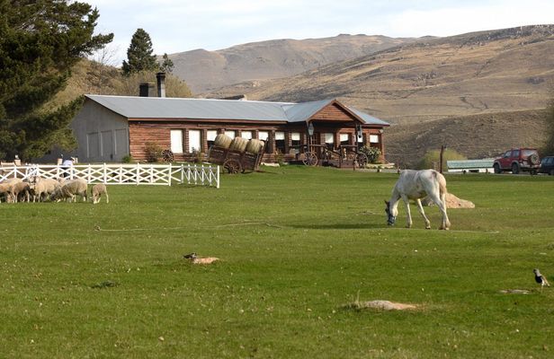 Estancia 25 de Mayo Tour with Dinner and Transfer