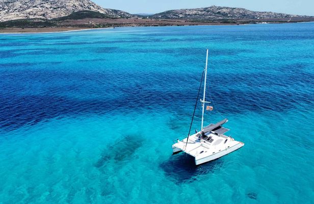 Full-Day Asinara Island Catamaran Trip from Stintino with Lunch