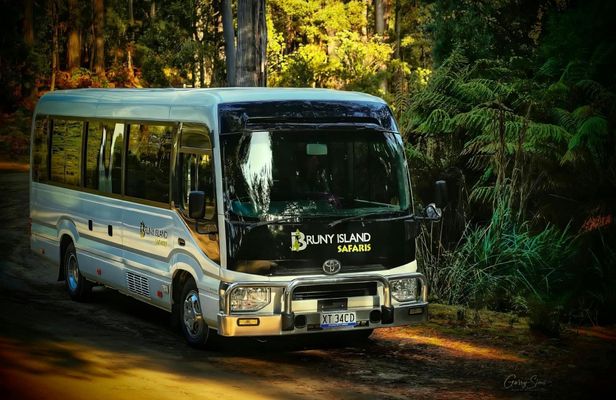 Bruny Island safaris, local food tasting and lighthouse tour
