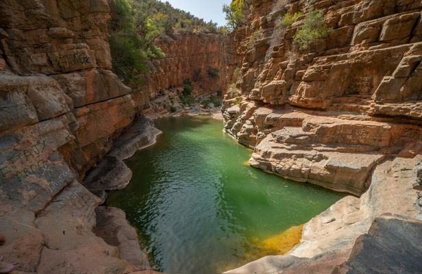 Paradise Valley Half-Day Guided Tour with Hotel Pickup