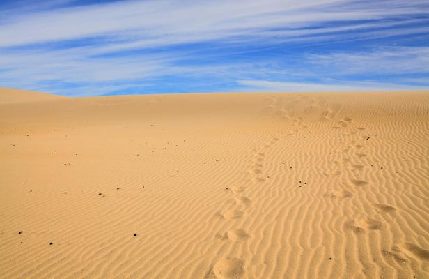 Day Trip to Sahara Sand Dunes and Paradise Valley from Agadir