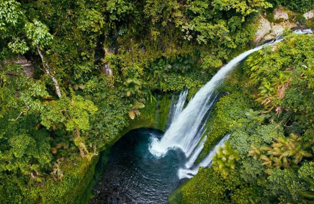 Sendang Gile and Tiu Kelep Waterfall Private Tour