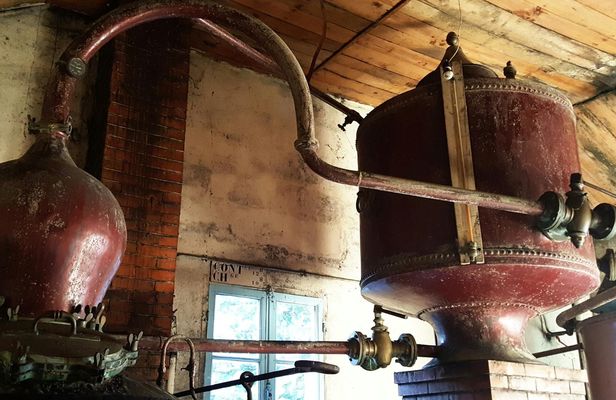 Vineyard and craft distilleries private day tour from Cognac