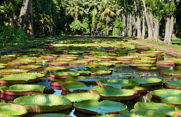 Port Louis half-day tour