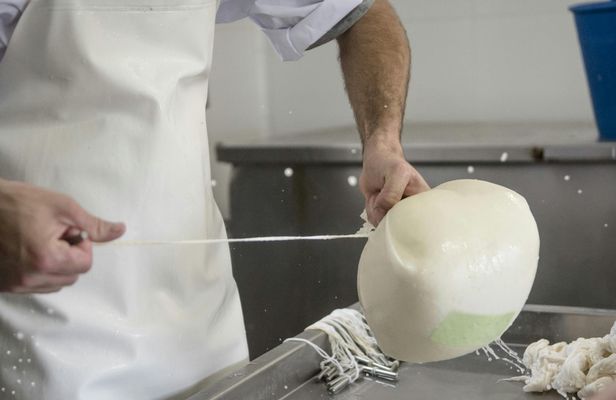 Cheese Experience in Menorca with Workshop and Tasting