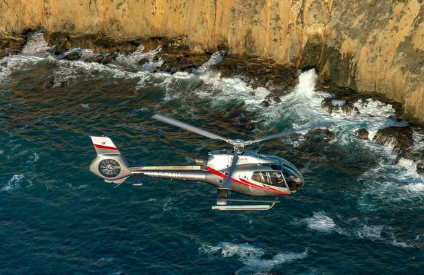 Coastal California Helicopter Tour