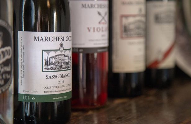 The Essence of Chianti Rufina Tour with Tasting in Renaissance Villa