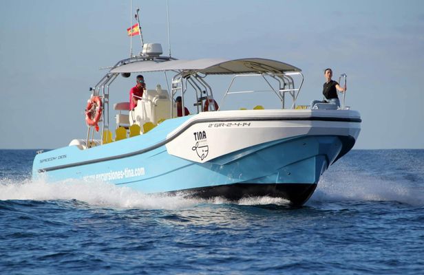 La Gomera Whale Watching Cruise
