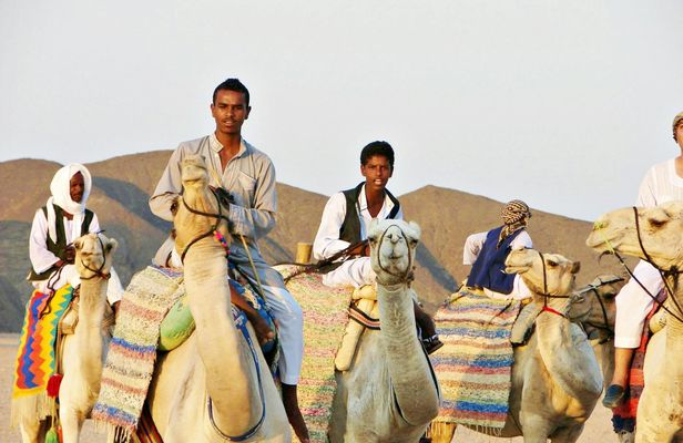 Quad experience with camel ride in the desert of Marsa Alam