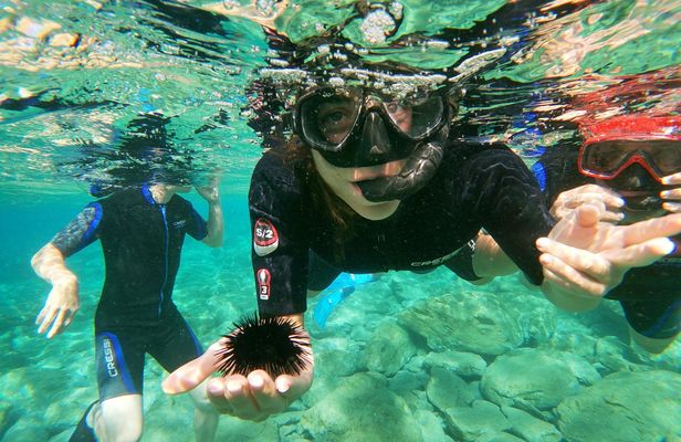 Snorkeling experience in Crete