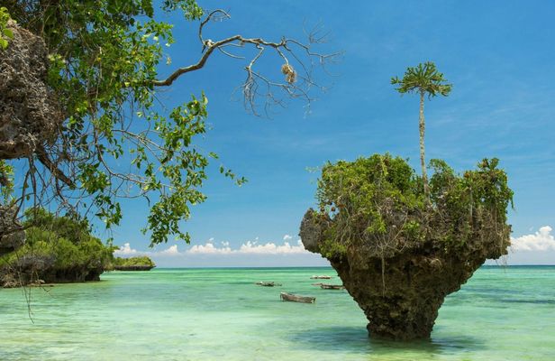 Private Tour to Uzi Island from The Mora Zanzibar