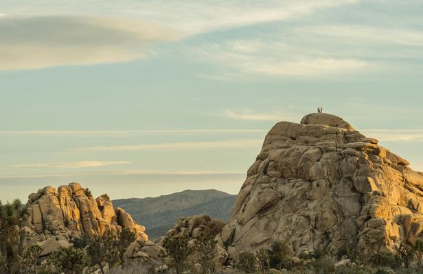 Joshua Tree's Hidden Valley self-guided walking audio tour