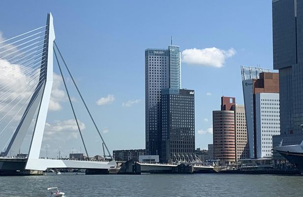 Famous Holland tour to The Hague, Delft, Rotterdam and Kinderdijk