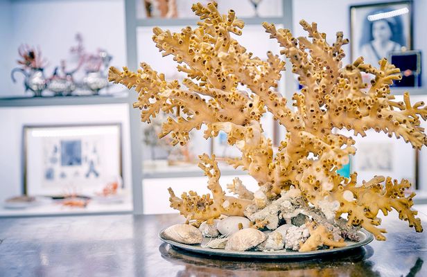 Coral Workshop Experience with a Visit to the Museum in Sciacca